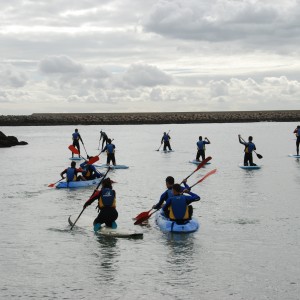 KAYAK PTO SHERRY